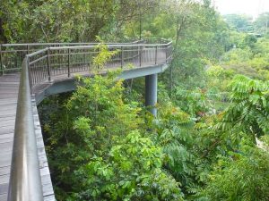 Kent Ridge Park in Singapore