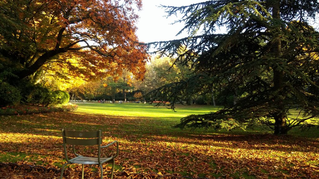 Paris Jardin du Luxembourg in Autumn