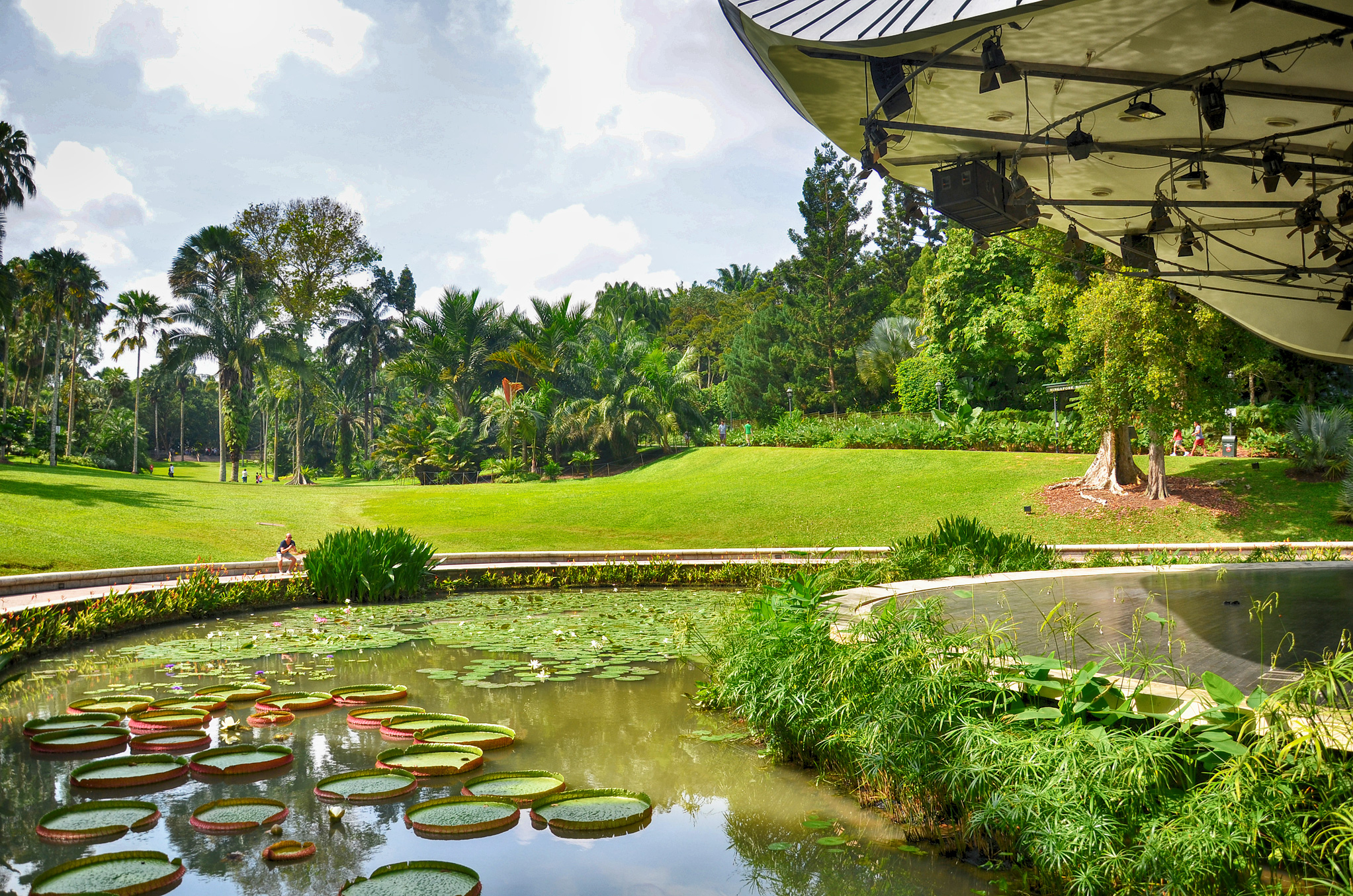 Fresh Air and Mighty Old Trees at Singapore s Botanic Fresh Air and Mighty Old Trees at Singapore s Botanic